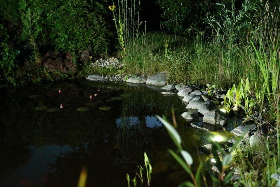 Ferienwohnung Welcome Mit Seeblick 汉格莫仁 外观 照片
